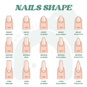 Peut inclure: Illustration pr&eacute;sentant diff&eacute;rentes formes d'ongles, avec des longueurs courtes, moyennes et longues. L'image montre des designs carr&eacute;s, ovales, amande, ballerine et stiletto, avec le texte "NAILS SHAPE" en haut.