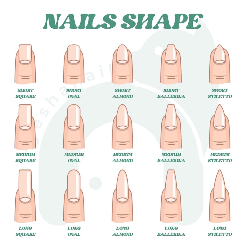 Peut inclure: Illustration pr&eacute;sentant diff&eacute;rentes formes d'ongles, avec des longueurs courtes, moyennes et longues. L'image montre des designs carr&eacute;s, ovales, amande, ballerine et stiletto, avec le texte "NAILS SHAPE" en haut.