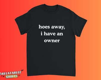 Hoes Away I Have Owner T-Shirt, Funny I Have A Girlfriend T-Shirt, Inappropriate Shirt, Men's Relationship committed T-Shirt, I Love My Gf