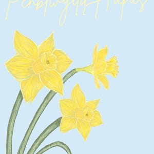 Puede incluir: Ilustración digital de tres narcisos amarillos con tallos verdes sobre un fondo azul claro. Las palabras "Penblwydd Hapus" están escritas en cursiva en la parte superior de la imagen.