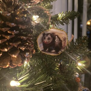 Op de afbeelding: Een ronde kerstversiering met een illustratie van een opossum. De versiering is bevestigd aan een kerstboom met dennennaalden en een grote dennenappel. De opossum is afgebeeld in tinten grijs, bruin en wit.