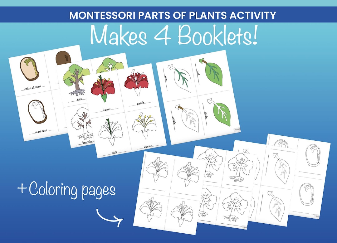 Montessori Botany Coloring Booklets- Parts of Tree,leaf,flower,seed ...