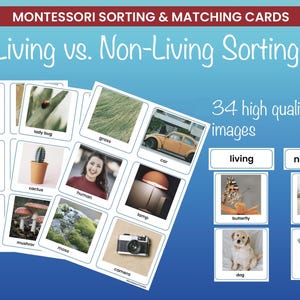 May include: Montessori sorting and matching cards for living vs. non-living sorting. The image shows 34 high-quality images, including a ladybug, car, human, camera, and dog. The cards are labeled "living" and "non-living".
