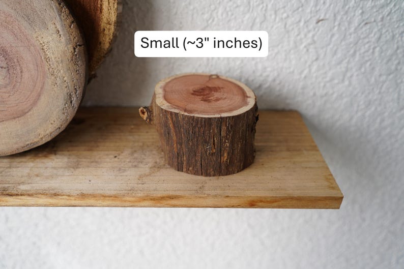 Wall Mount for Plants | Real Natural Wood | Cedar and Camphor | Sanded, Sealed | Staghorn Fern Extra Small Cedar