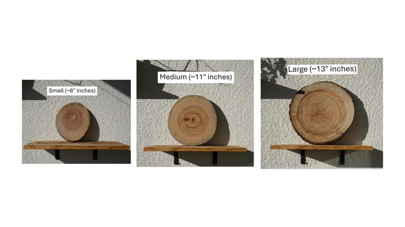 Wall Mount for Plants | Real Natural Wood | Cedar and Camphor | Sanded, Sealed | Staghorn Fern image 3