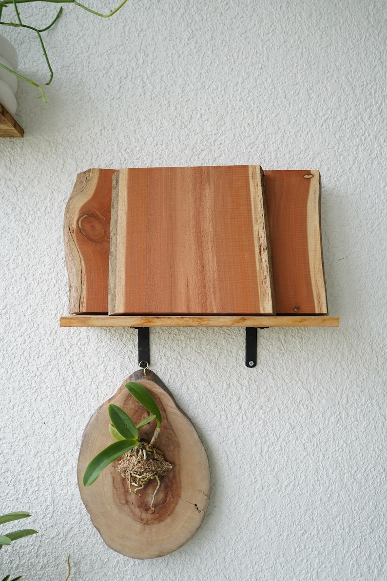 May include: A wooden wall shelf with a natural edge, holding a small plant in a wooden holder. The shelf is made of reddish-brown wood and has black metal brackets. The wall is white.