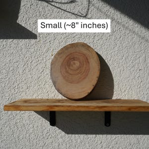 Wall Mount for Plants | Real Natural Wood | Cedar and Camphor | Sanded, Sealed | Staghorn Fern Small Camphor