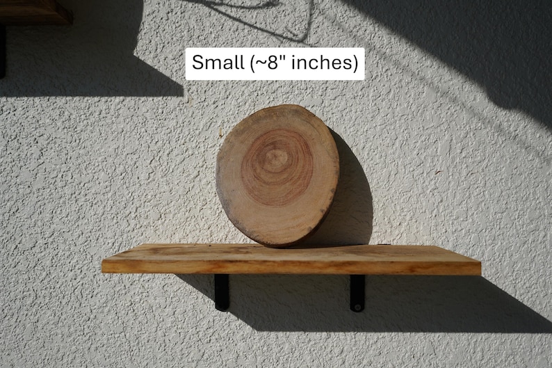 Wall Mount for Plants | Real Natural Wood | Cedar and Camphor | Sanded, Sealed | Staghorn Fern Small Camphor