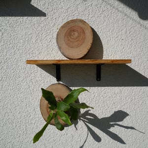 Wall Mount for Plants | Real Natural Wood | Cedar and Camphor | Sanded, Sealed | Staghorn Fern image 15