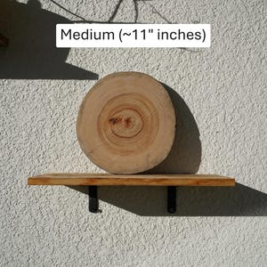 Wall Mount for Plants | Real Natural Wood | Cedar and Camphor | Sanded, Sealed | Staghorn Fern Medium Camphor