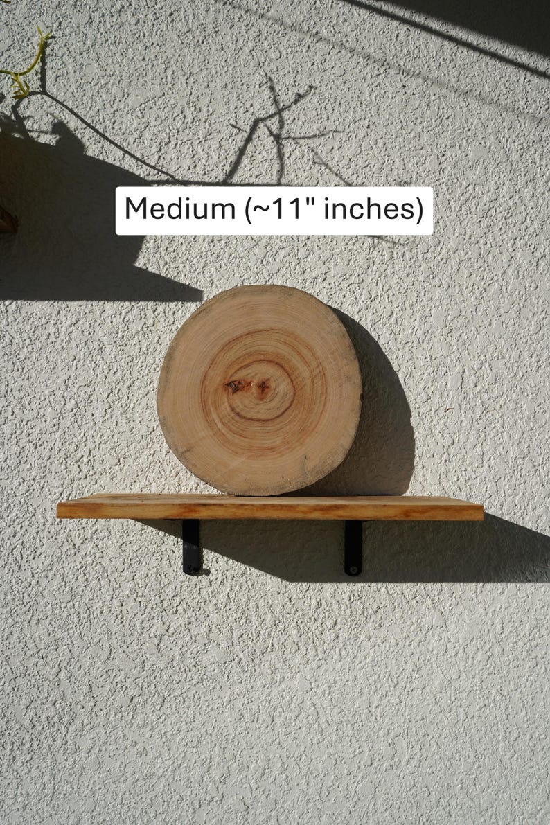 Wall Mount for Plants | Real Natural Wood | Cedar and Camphor | Sanded, Sealed | Staghorn Fern Medium Camphor