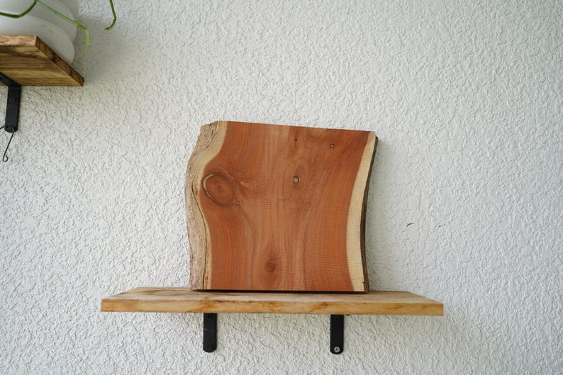 May include: A live edge wooden slab with a natural, irregular shape, showcasing rich reddish-brown tones and a lighter-coloured edge. The slab rests on a wooden shelf with black metal brackets, against a textured white wall. A natural, rustic decor item.