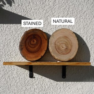 Wall Mount for Plants | Real Natural Wood | Cedar and Camphor | Sanded, Sealed | Staghorn Fern image 5