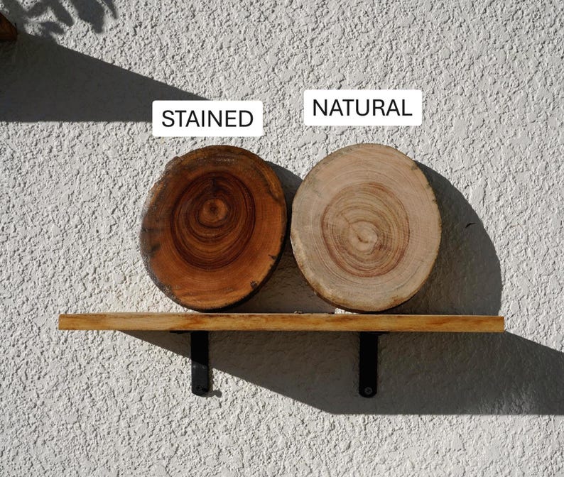 Wall Mount for Plants | Real Natural Wood | Cedar and Camphor | Sanded, Sealed | Staghorn Fern image 5