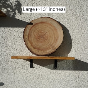 Wall Mount for Plants | Real Natural Wood | Cedar and Camphor | Sanded, Sealed | Staghorn Fern Large Camphor