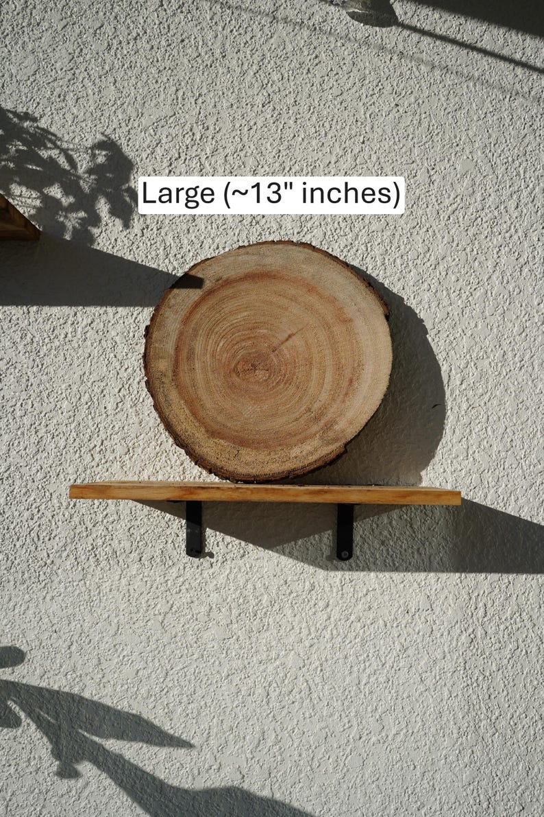 Wall Mount for Plants | Real Natural Wood | Cedar and Camphor | Sanded, Sealed | Staghorn Fern Large Camphor