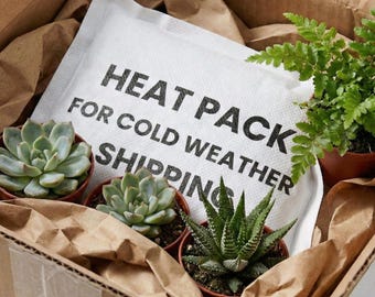 Versand-Upgrade für das Winter Heat Pack