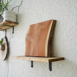 May include: A wooden shelf with a live edge and a reddish-brown finish. The shelf is supported by black metal brackets and mounted on a textured white wall. Other wooden shelves and a white planter are also visible.
