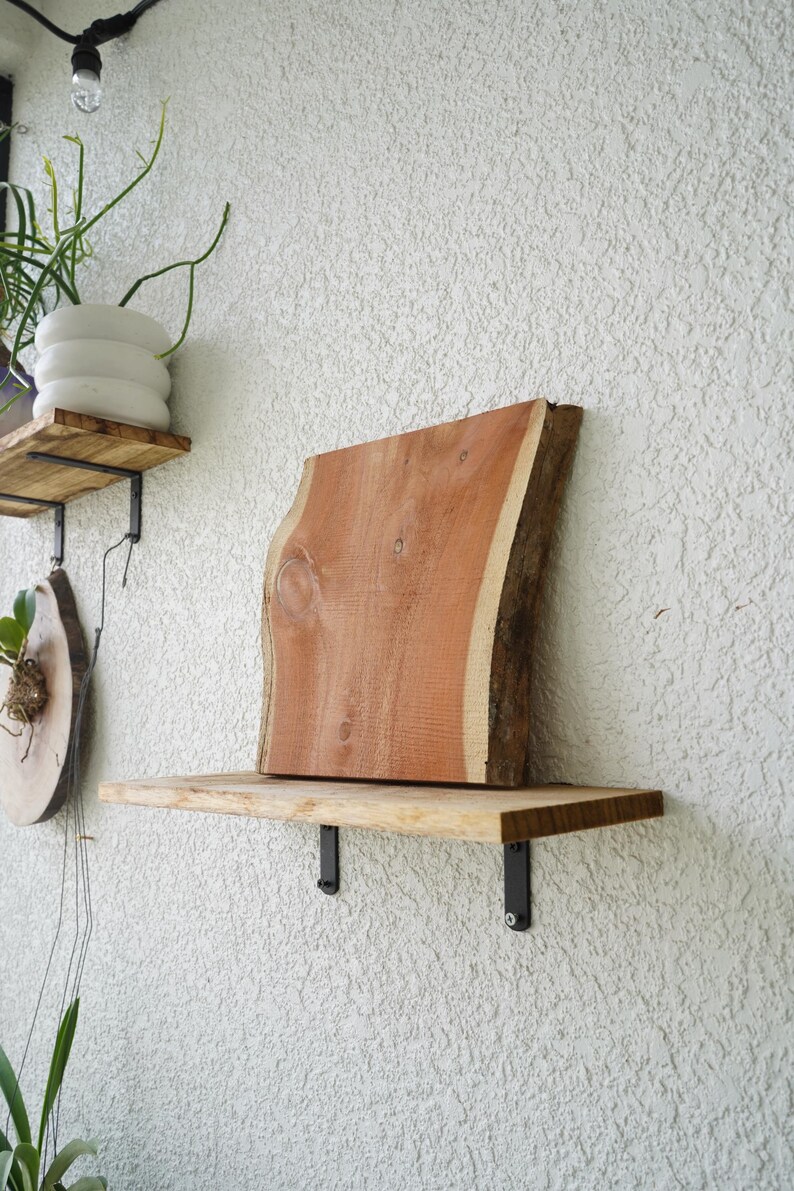 May include: A wooden shelf with a live edge and a reddish-brown finish. The shelf is supported by black metal brackets and mounted on a textured white wall. Other wooden shelves and a white planter are also visible.