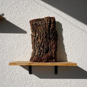 Wall Mount for Plants | Real Natural Wood | Cedar and Camphor | Sanded, Sealed | Staghorn Fern Large Cork Bark