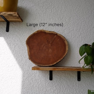 Wall Mount for Plants | Real Natural Wood | Cedar and Camphor | Sanded, Sealed | Staghorn Fern image 9