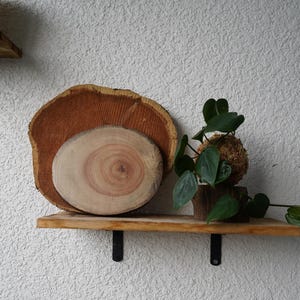 Kokedama Moss Balls | Various Plants | Pothos, Fern, Ivy | Comes with Natural Wood Base image 10