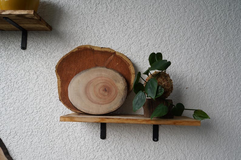 Kokedama Moss Balls | Various Plants | Pothos, Fern, Ivy | Comes with Natural Wood Base image 10