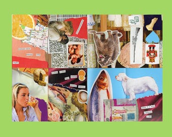Op de afbeelding: Een meerlaagse collage met diverse uitgeknipte afbeeldingen, waaronder een gesneden sinaasappel, een kaart, een wasbeer, een geweer, een witte hond, een vis, een persoon die sap drinkt en diverse tekstfragmenten op een rechthoekig oppervlak.
