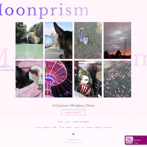 May include: A website design with a collage of images: a waterfall, a dog, a cat, a sunset, a dog, a carnival ride, a Monster energy drink can, and leaves. The website title is "Moonprism" with the tagline "A Cosmicore Wordpress Theme."