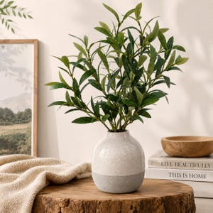 14" Faux Olive Plant in Ceramic Vase | Artificial Olive Tree | Realistic Greenery Decor