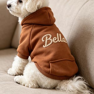 Könnte beinhalten: Ein kleiner weißer Hund mit lockigem Fell trägt einen braunen Kapuzenpullover. Der Pullover hat eine Kängurutasche und den Namen Bella in cremefarbener Schreibschrift auf den Rücken gestickt. Das Kleidungsstück hat gerippte Bündchen.