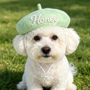 May include: A small white dog wearing a light green beret with the word "Honey" embroidered on it in cursive. The dog also wears a white necklace with a small pendant. The dog is sitting on green grass.
