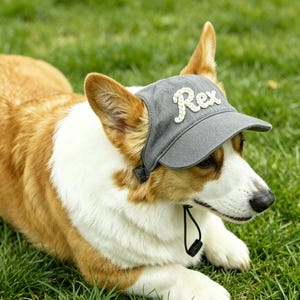 May include: A corgi dog wearing a grey baseball cap with the name "Rex" embroidered on the front. The dog is lying on green grass, with its ears sticking out from under the cap. The cap has a black strap.
