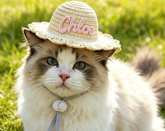 Custom Cat Straw Sun Hat with Name, Dog Cat Outdoor Accessories, Adjustable Pet Straw Sun Hat, Dog Cat Lovers Gift, Personalized Pet Gift