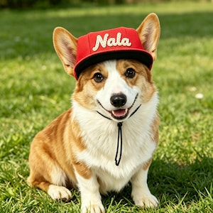 May include: A Corgi dog wearing a red baseball cap with the name "Nala" embroidered in white. The dog is sitting on green grass, with a black chin strap attached to the hat.