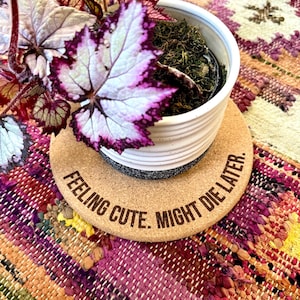 May include: A cork coaster with the text "Feeling cute. Might die later."  A white ceramic pot with a green plant is sitting on the coaster.