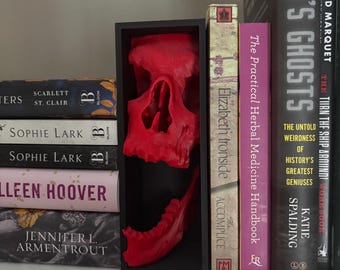 Skull Book Nook
