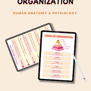 May include: Two tablets displaying educational content titled Levels of Organization Human Anatomy & Physiology. The screens show a pyramid diagram and a list defining chemical, cellular, tissue, organ, organ system, and organism levels. A stylus is included.