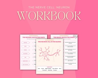 Neuron Anatomy Printable Worksheet | Digital Study Guide