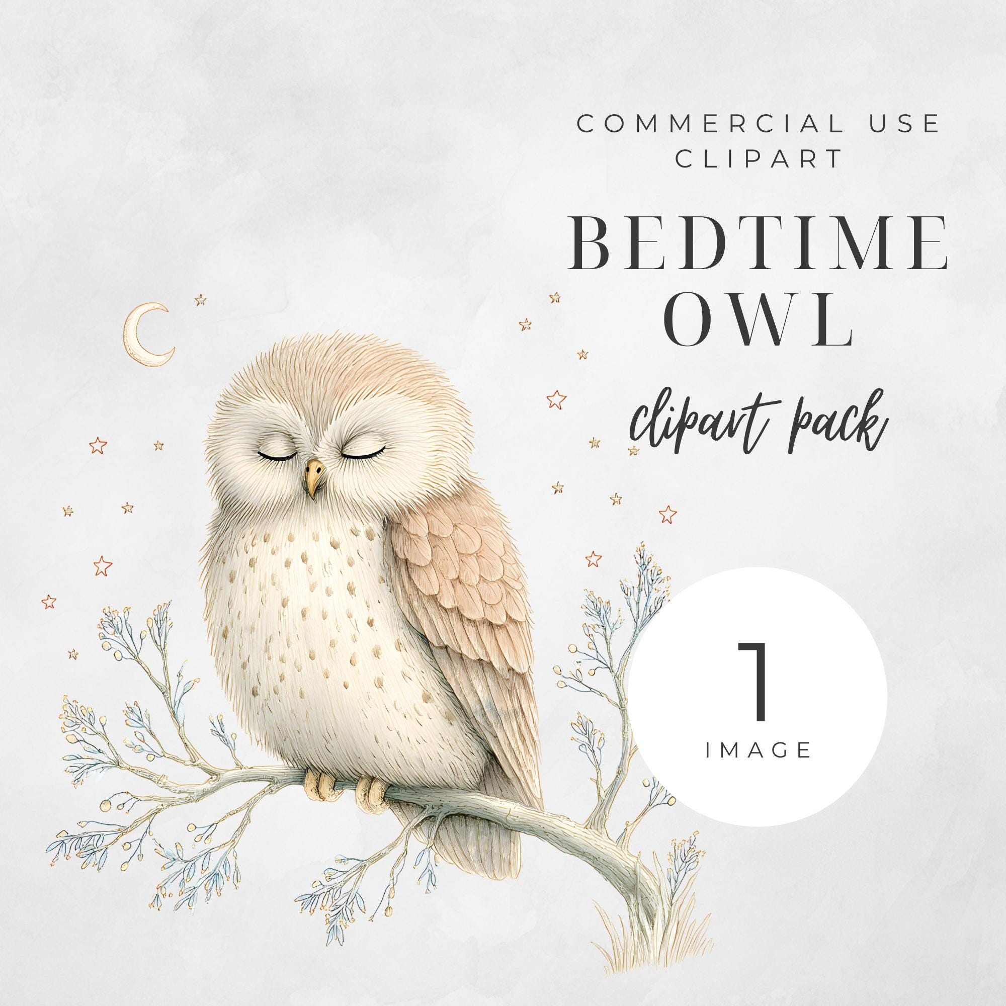 Bedtime Owl Clipart Pack, Sleeping Owl PNG Illustration, Cute Woodland Animal Artwork, Moon and Star