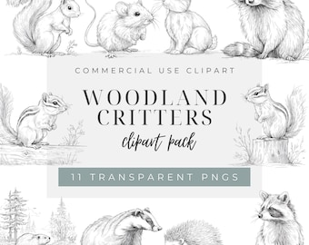 Woodland Critters Clipart, Forest Animal Line Art PNGs for Making Coloring Pages, Squirrel Rabbit Raccoon & Badger Outline Set