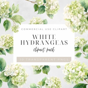 Puede incluir: Un paquete de imágenes prediseñadas digitales con ilustraciones de acuarela de hortensias blancas con hojas verdes. El texto de la imagen dice "WHITE HYDRANGEAS clipart pack" y "10 TRANSPARENT PNGS". También se ven las palabras "COMMERCIAL USE CLIPART".