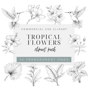 Può includere: Disegno a tratto in bianco e nero di fiori tropicali e colibrì. L'immagine include ibisco, magnolia e altre piante tropicali. Il testo recita "COMMERCIAL USE CLIPART" e "TROPICAL FLOWERS clipart pack". L'immagine indica anche "10 TRANSPARENT PNGS".