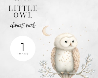 Little Owl Clipart, Cute Baby Owl PNG Sitting on Branch, Woodland Animal Illustration for Nursery Wall Art, Baby Shower, Kids Party Crafts