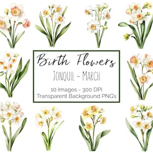 Clipart de jonquille PNG | Fleur Mars Mois de Naissance | 10 PNG Floral Jonquilles | Fond transparent | 300 ppp en téléchargement numérique