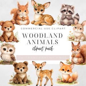 Puede incluir: Ilustración en acuarela de animales del bosque, incluyendo una ardilla, un ciervo, un mapache, un conejo, un oso, un búho y un zorro. El texto dice "WOODLAND ANIMALS clipart pack" y "14 TRANSPARENT PNGS".