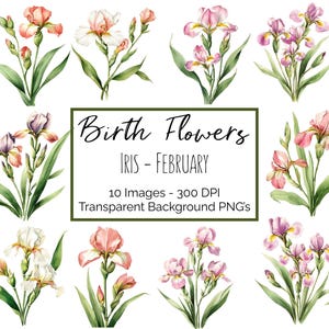 Iris Clipart PNG | Fleur Février mois de naissance | 10 PNG Iris floraux | Fond transparent | 300 ppp en téléchargement numérique