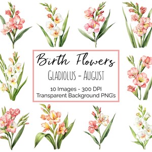 Glaïeuls Clipart PNG | Fleur Août Mois de Naissance | 10 PNG floraux glaïeuls | Fond transparent | 300 ppp en téléchargement numérique