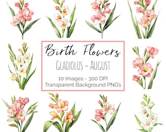 August Gladiolus Birth Flower Clipart PNG Bundle, Watercolor Gladiolus Flower Graphics, August Birthday Flower Clipart Commercial Use