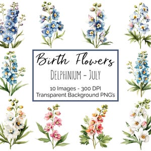 Delphinium Clipart PNG | fleur juillet mois de naissance | 10 fleurs de Delphinium | Fond transparent | 300 ppp en téléchargement numérique